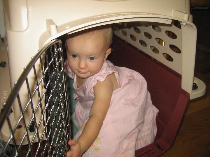 IMG_3374.JPG - Natalie trying out the kennel