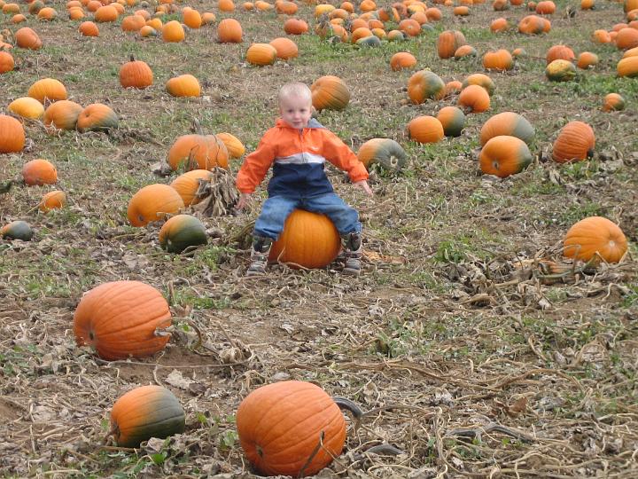 IMG_3384.JPG - Yee-haw - Hunter rides the wild pumpkin