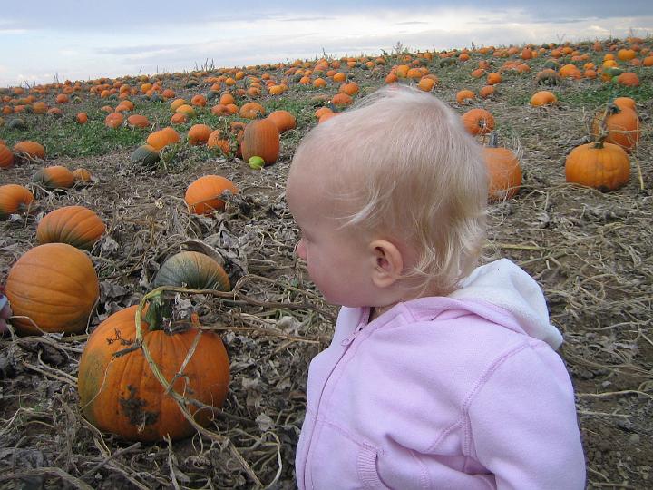 IMG_3391.JPG - Hmm, Natalie searches for the perfect pumpkin