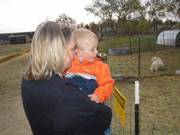 IMG_3407.JPG - Grandma shows Hunter the animals