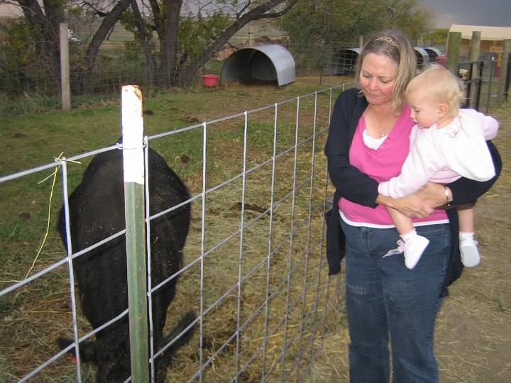 IMG_3413.JPG - Grandma shows Natalie the cow