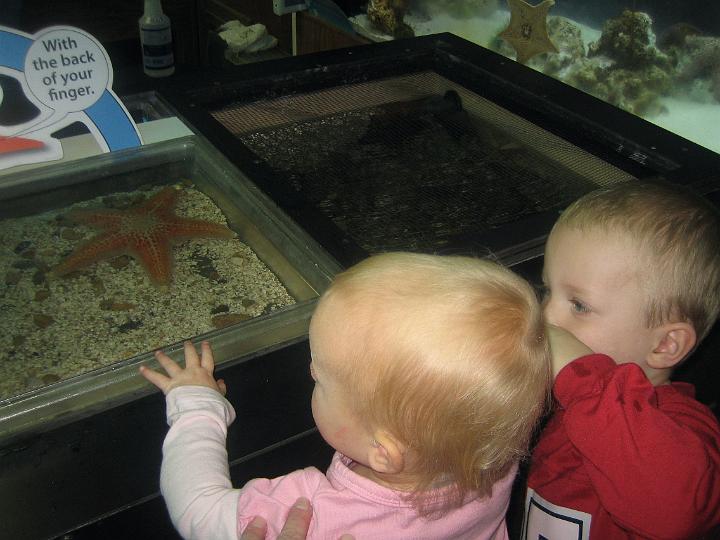 IMG_3545.JPG - Natalie and Hunter check out a starfish