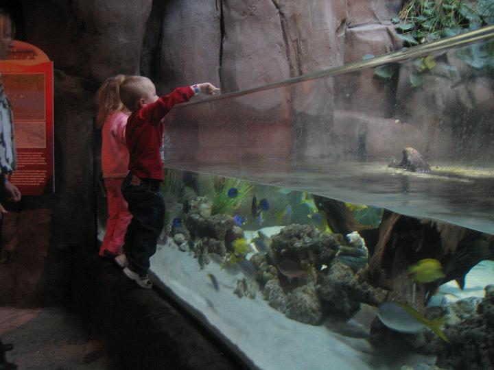 IMG_3591.JPG - Hunter shows a girl the fish
