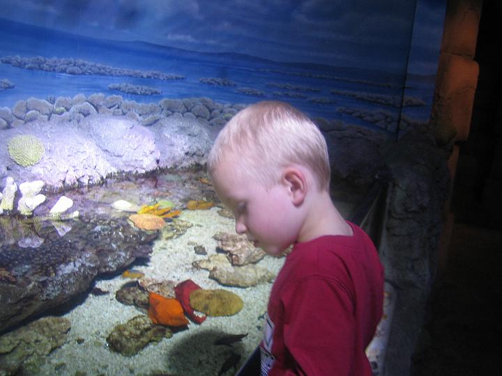 IMG_3598.JPG - Hunter checks out the fish again