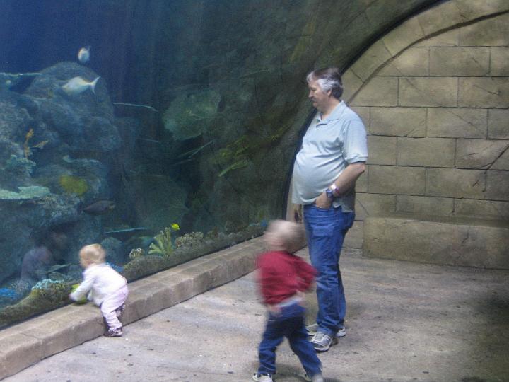 IMG_3602.JPG - Pop-pop supervises while Natalie and Hunter check out the big tank