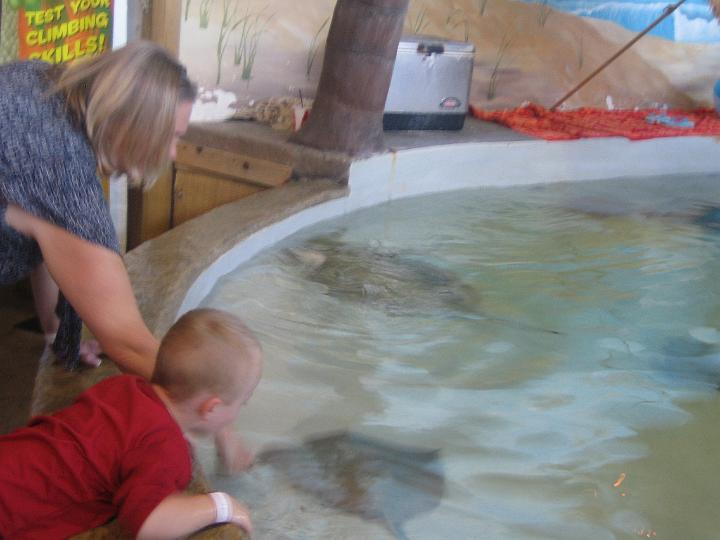 IMG_3617.JPG - Grandma and Hunter petting the stingrays