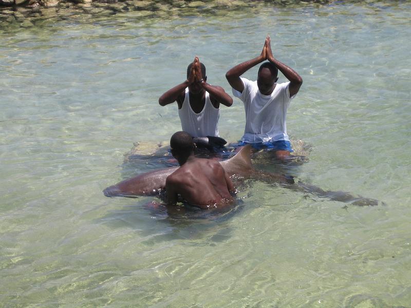 IMG_3186.JPG - these guys got to touch the shark