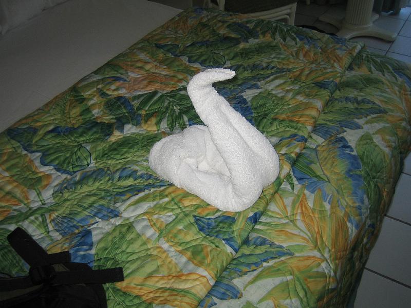 IMG_3198.JPG - I think this is a swan, but Hunter said it was a snake