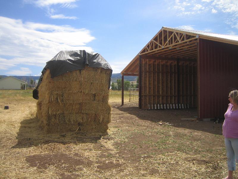 IMG_3273.JPG - Dawn checks out the hay stacked up on the east side of the barn